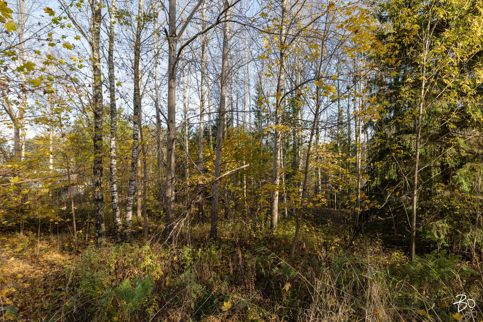 Siuntiontie 447 - image 9