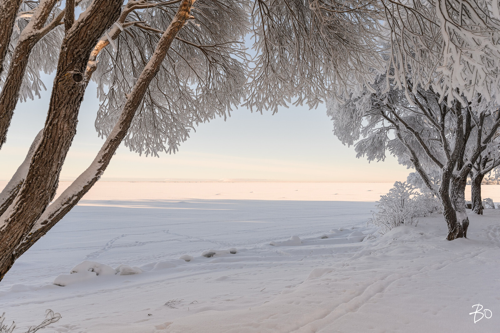 Varjakankuja 2 - kuva 61