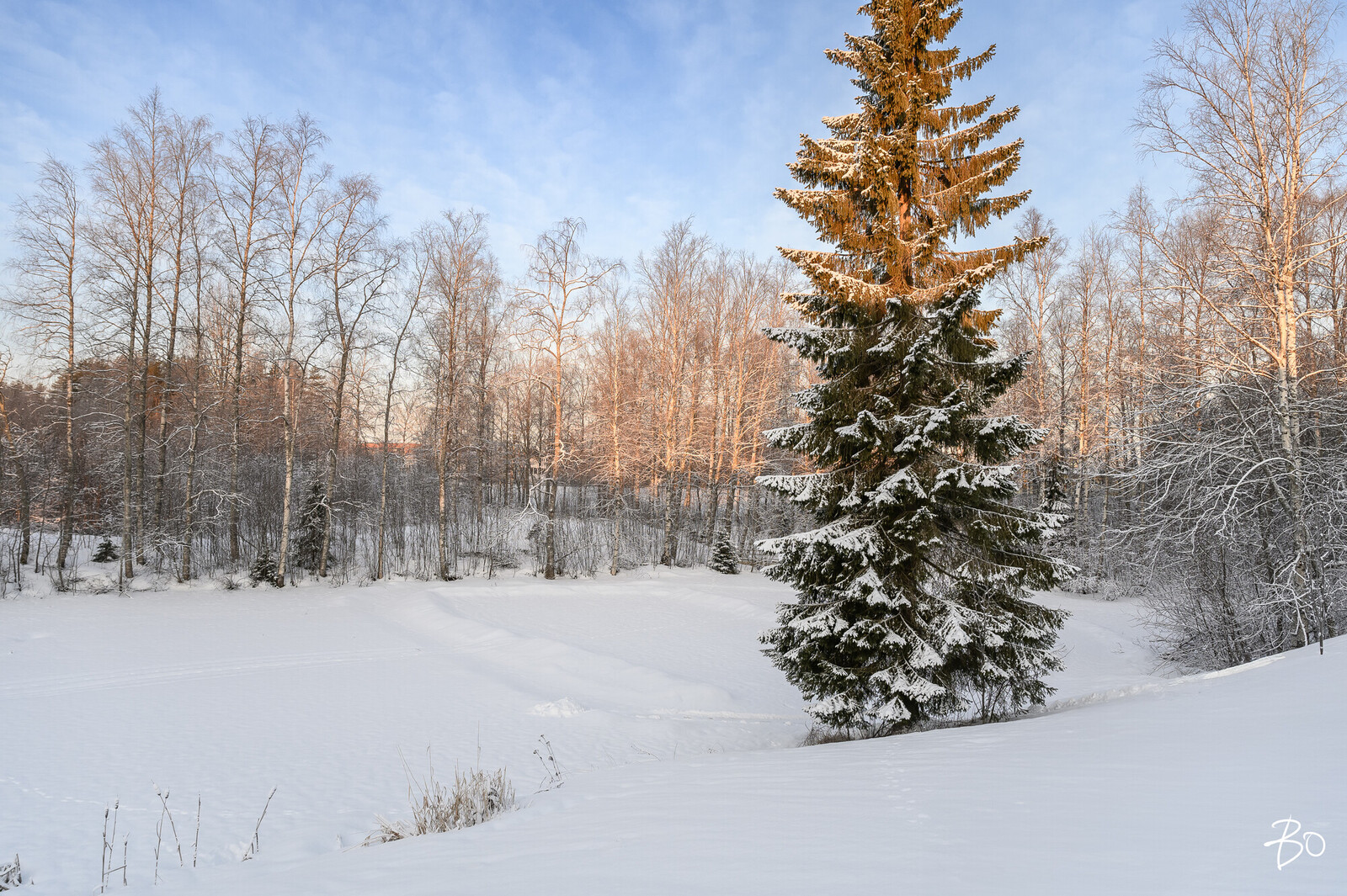 Jaarantie 1 - kuva 51