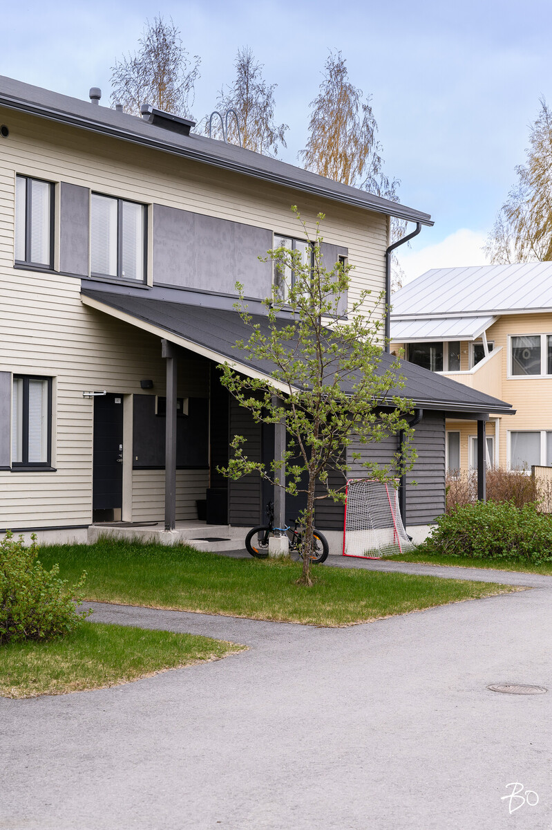 Siipipeilintie 11 - kuva 34