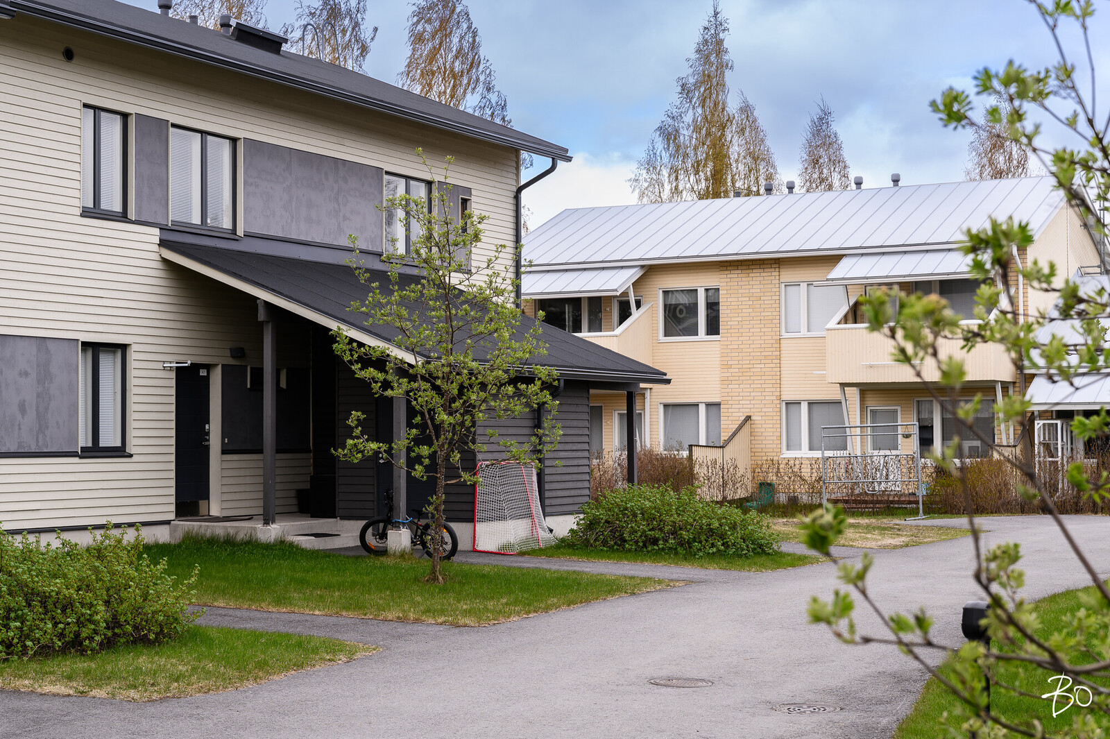 Siipipeilintie 11 - kuva 1