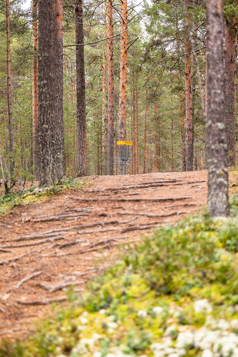 Maisemakallionpolku 4 A  - bild 13