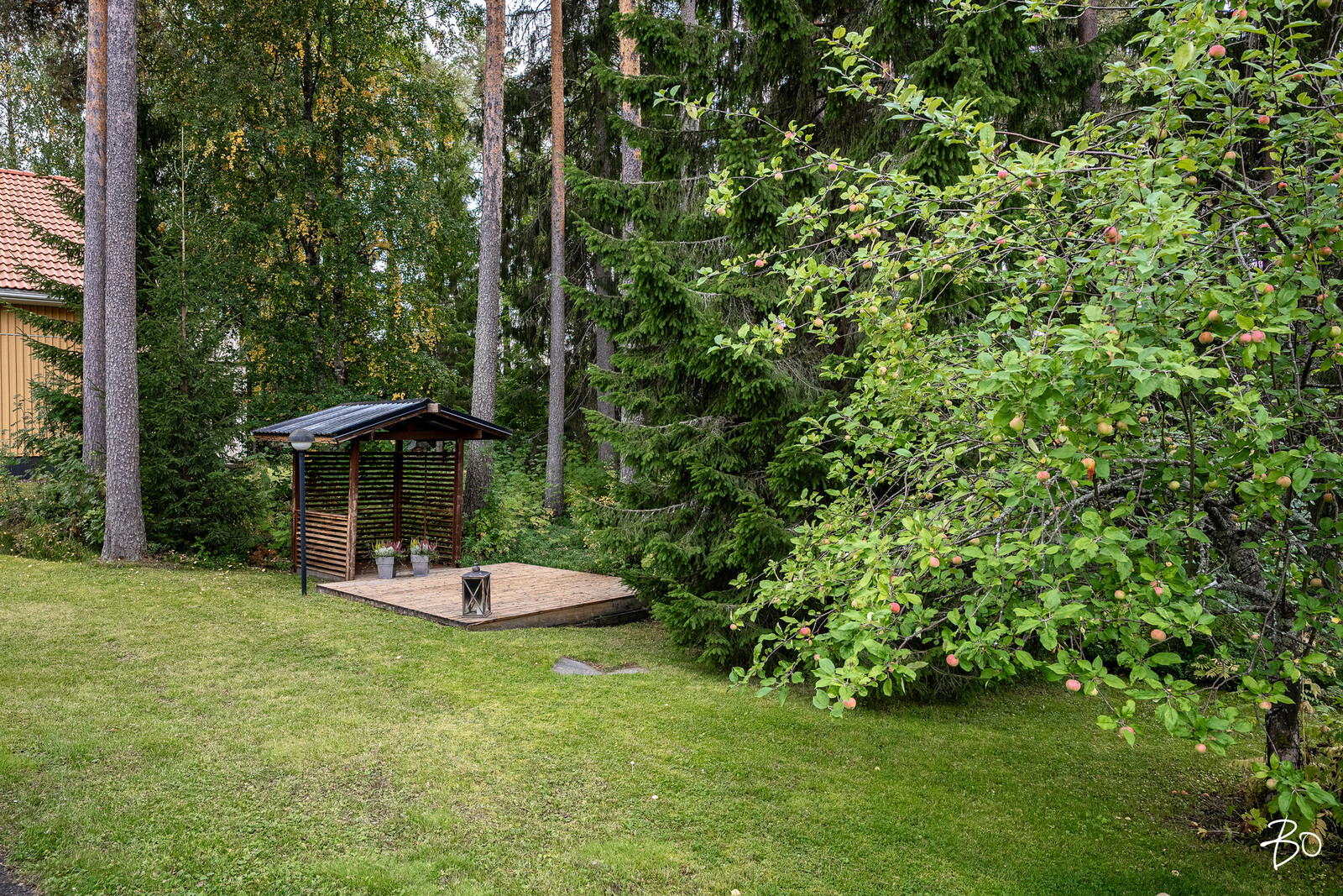 Purantie 8 - bild 45