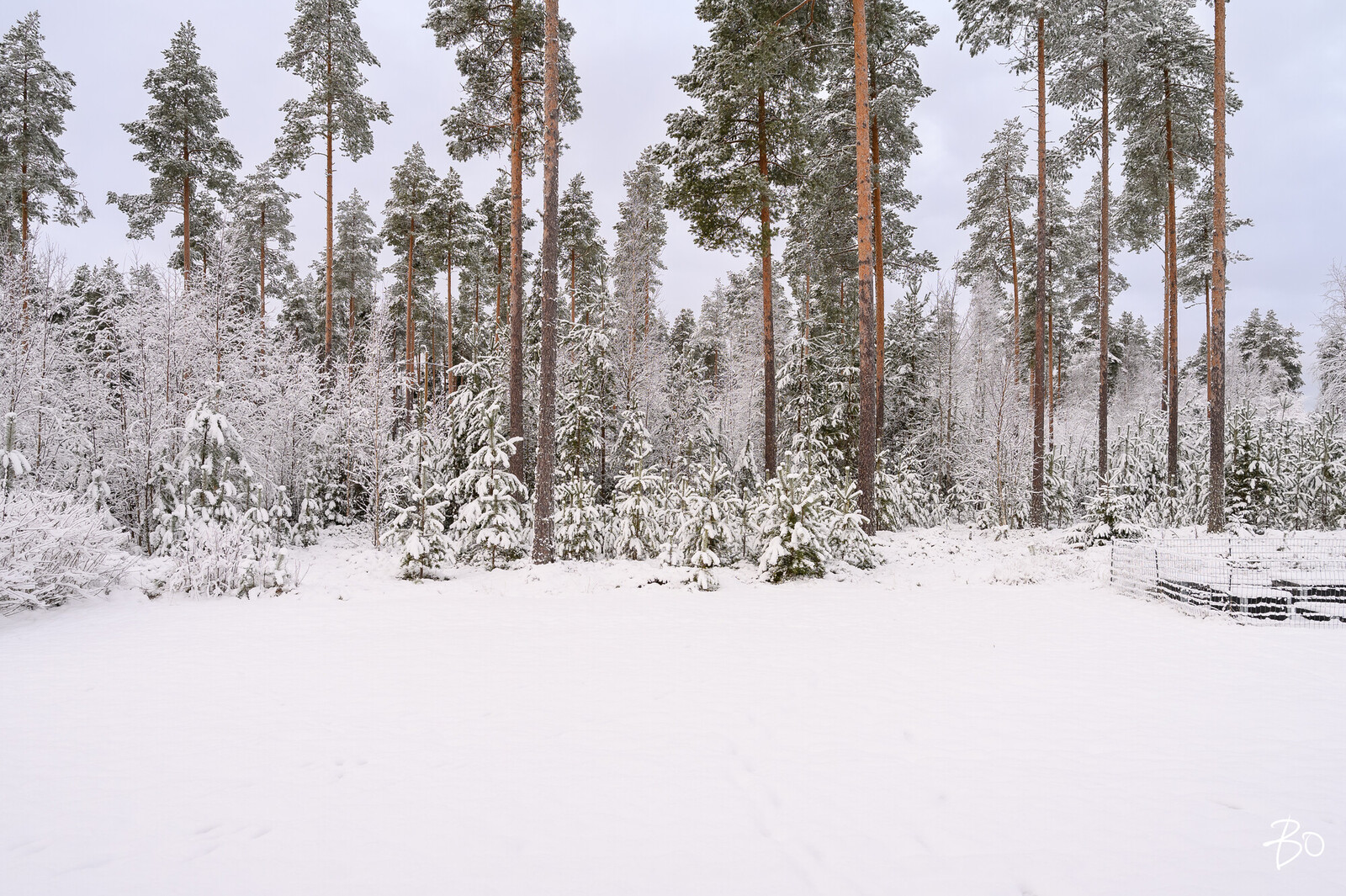 Pyydyspolku 14A - kuva 36