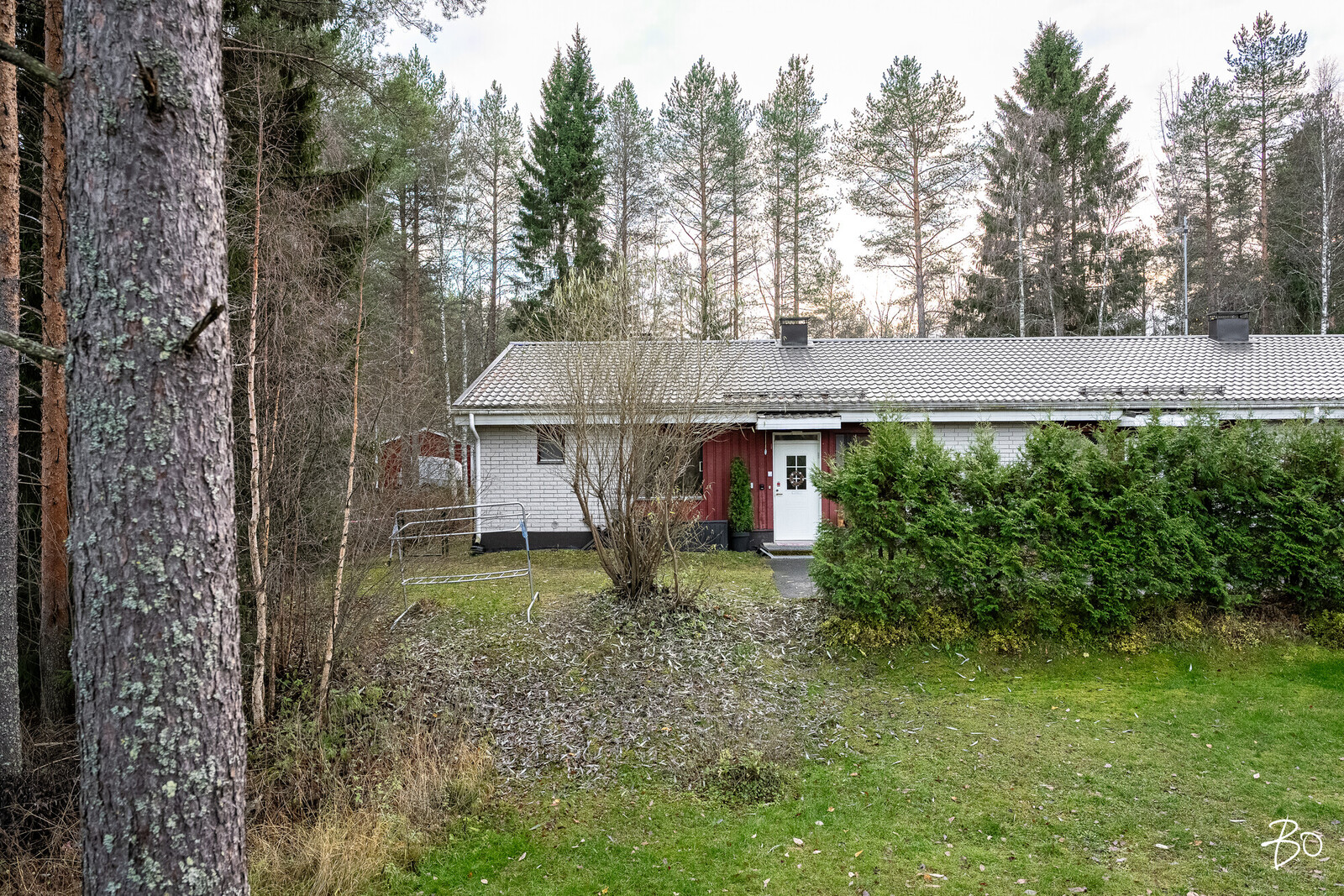 Nielukuja 2 - kuva 25