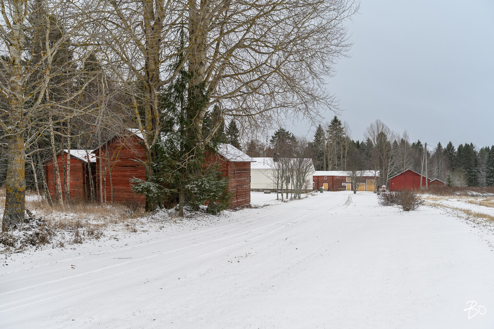 Muhostie 67  - kuva 26