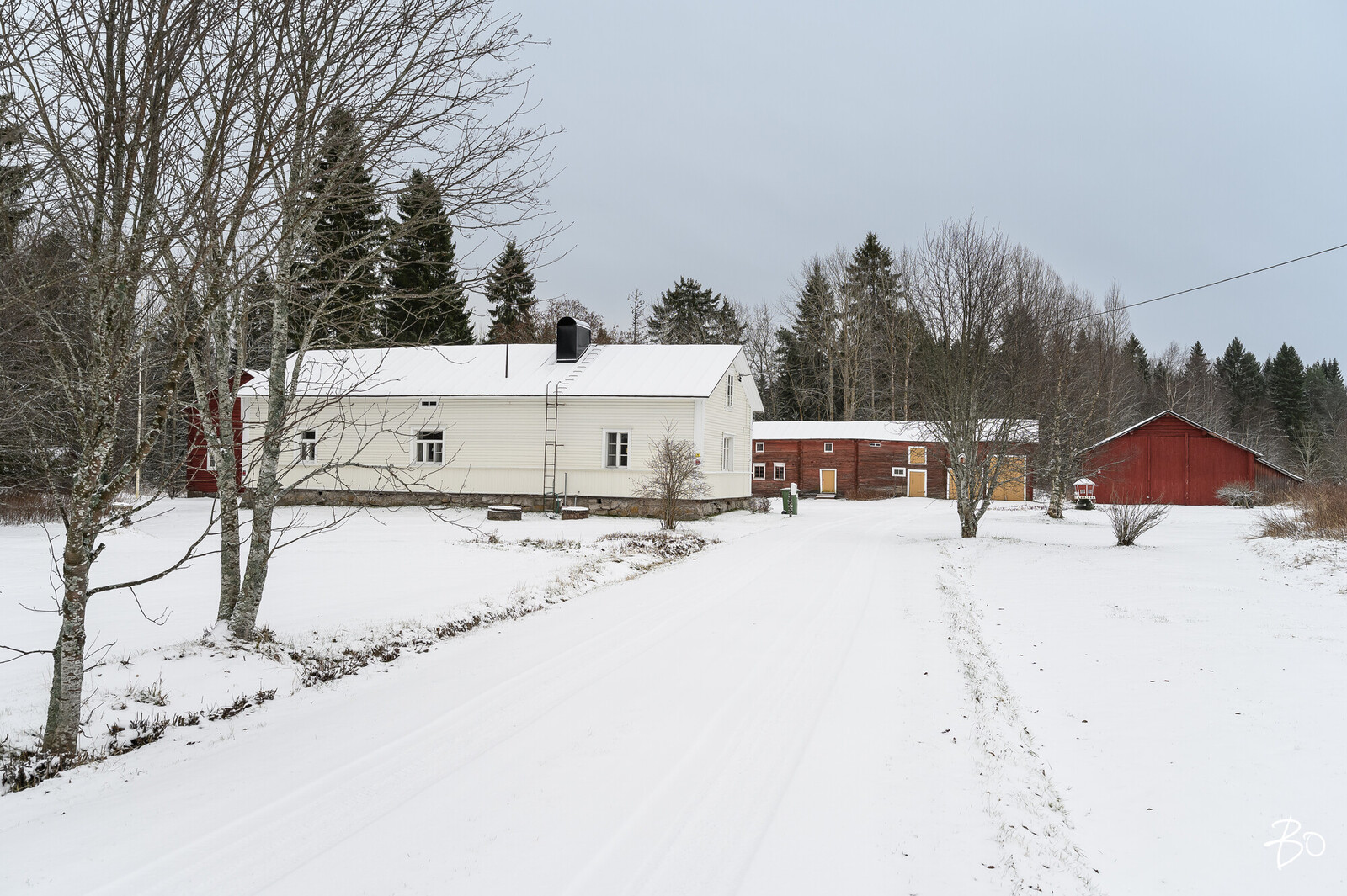 Muhostie 67  - kuva 28