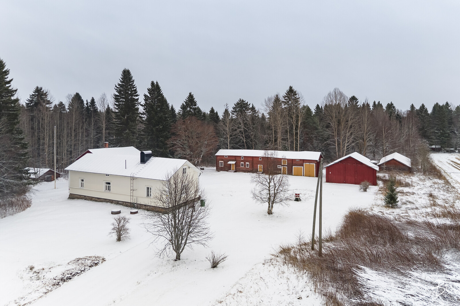 Muhostie 67  - kuva 35