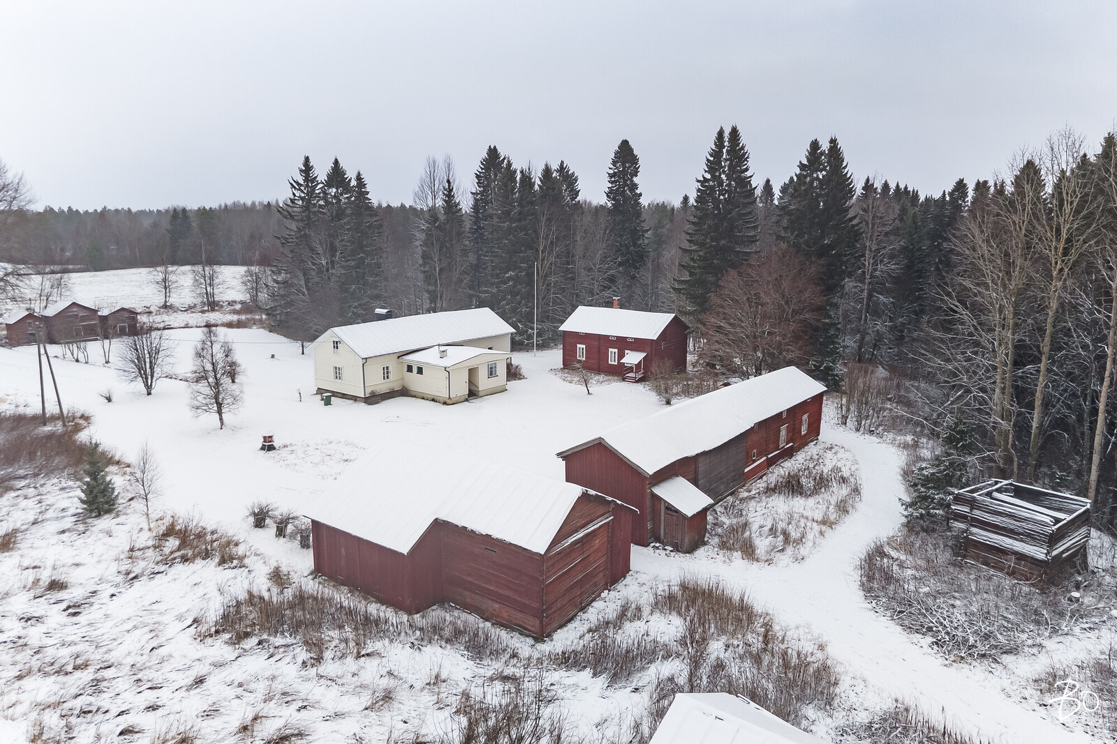 Muhostie 67  - kuva 1