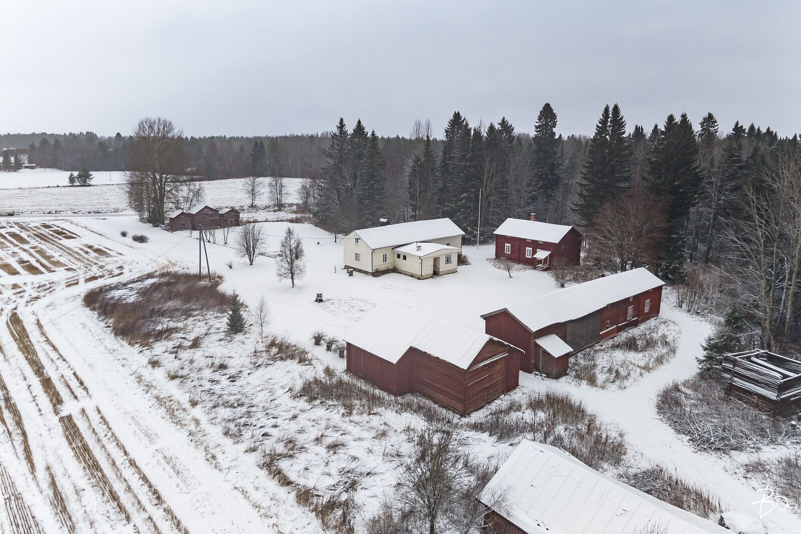 Muhostie 67  - kuva 37