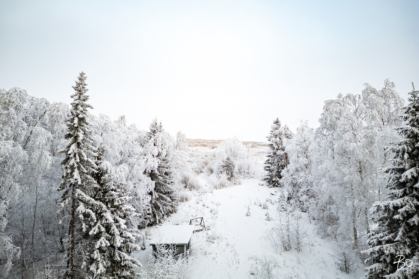 Nissupää 10 - kuva 4