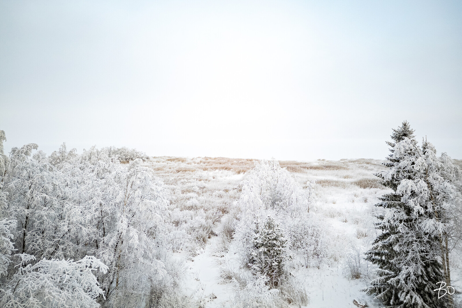 Nissupää 10 - kuva 5