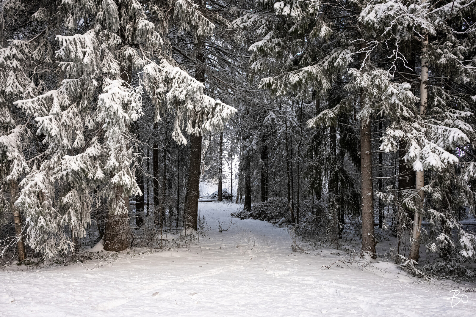 Nissupää 10 - kuva 6