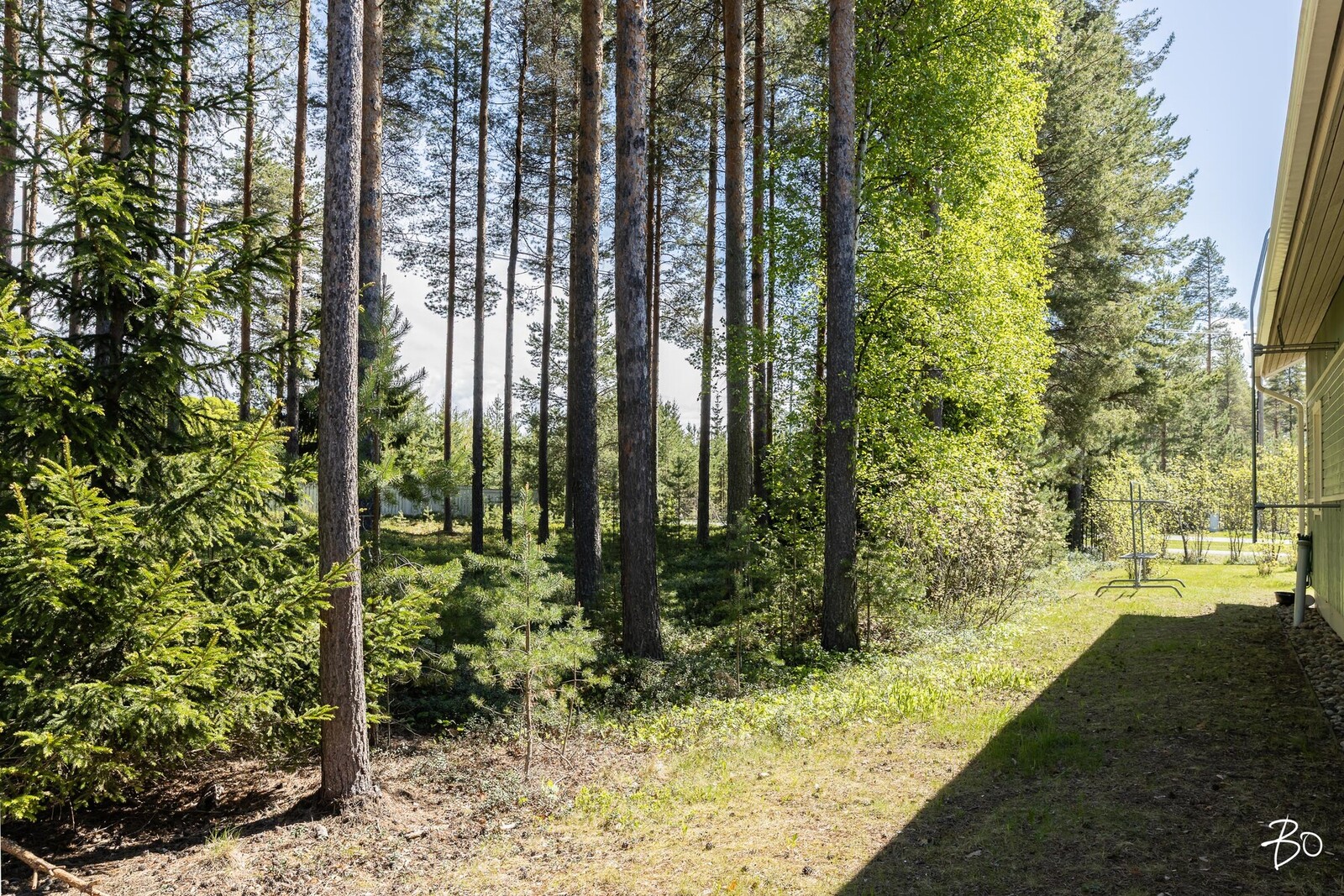 Kokkokaarto 4 - kuva 34
