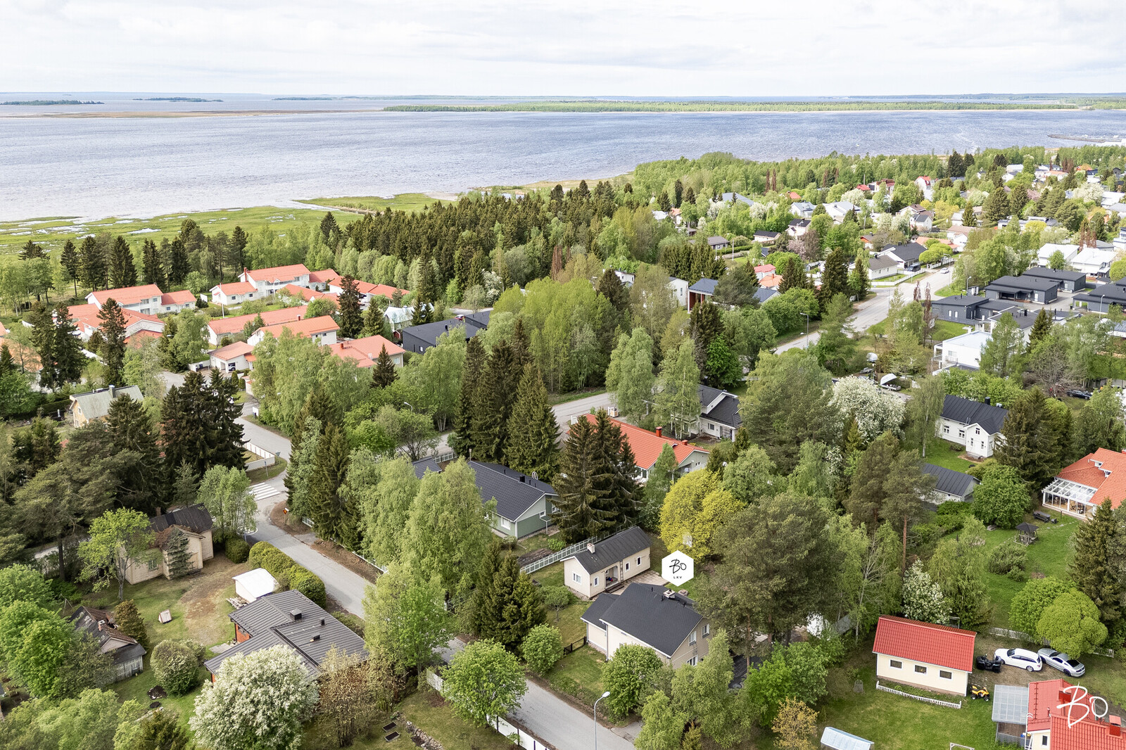 Leppäluodontie 3 - kuva 1
