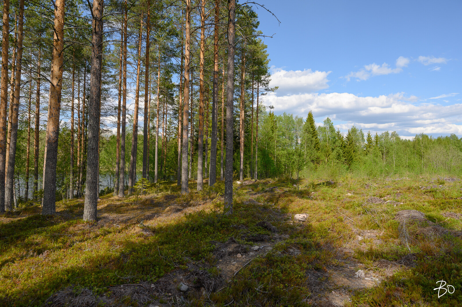 Petäjälahdentie 13 - kuva 4