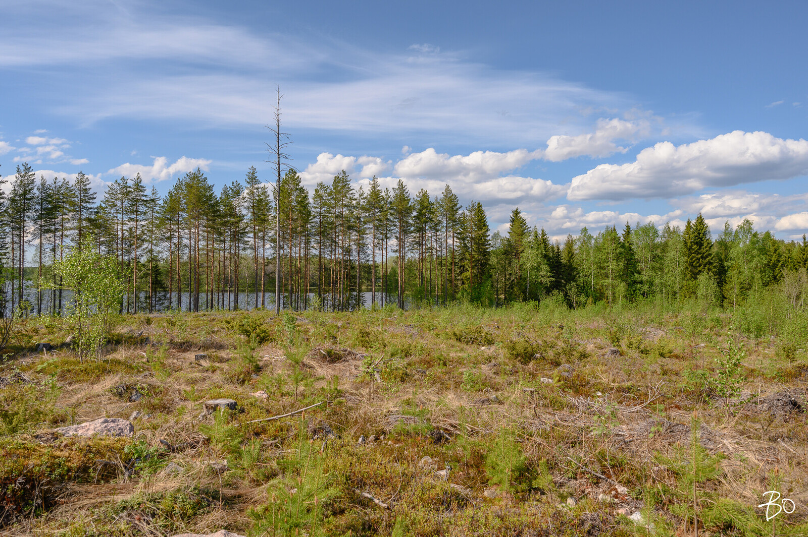 Petäjälahdentie 13 - kuva 3