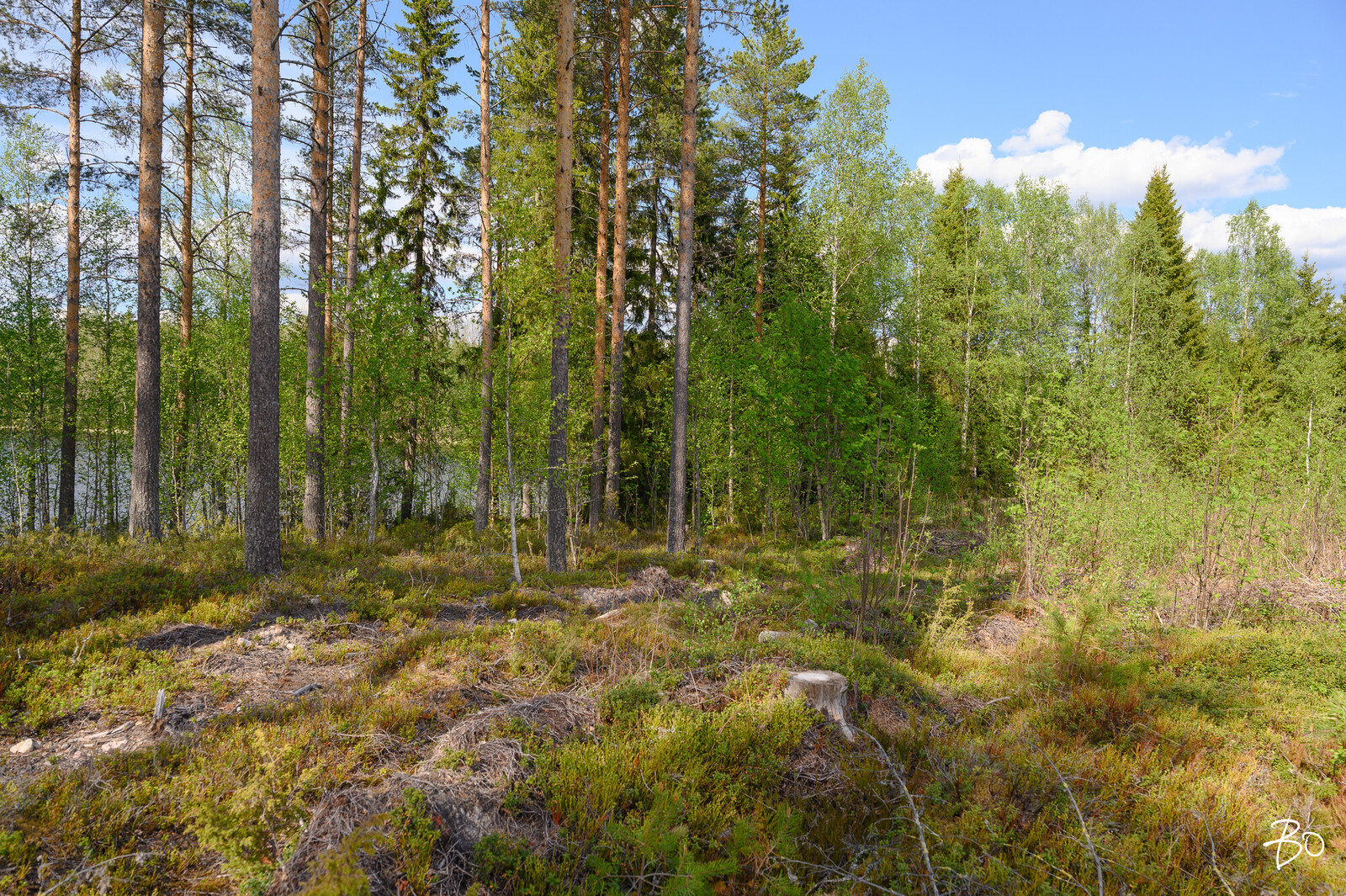Petäjälahdentie 13 - kuva 5