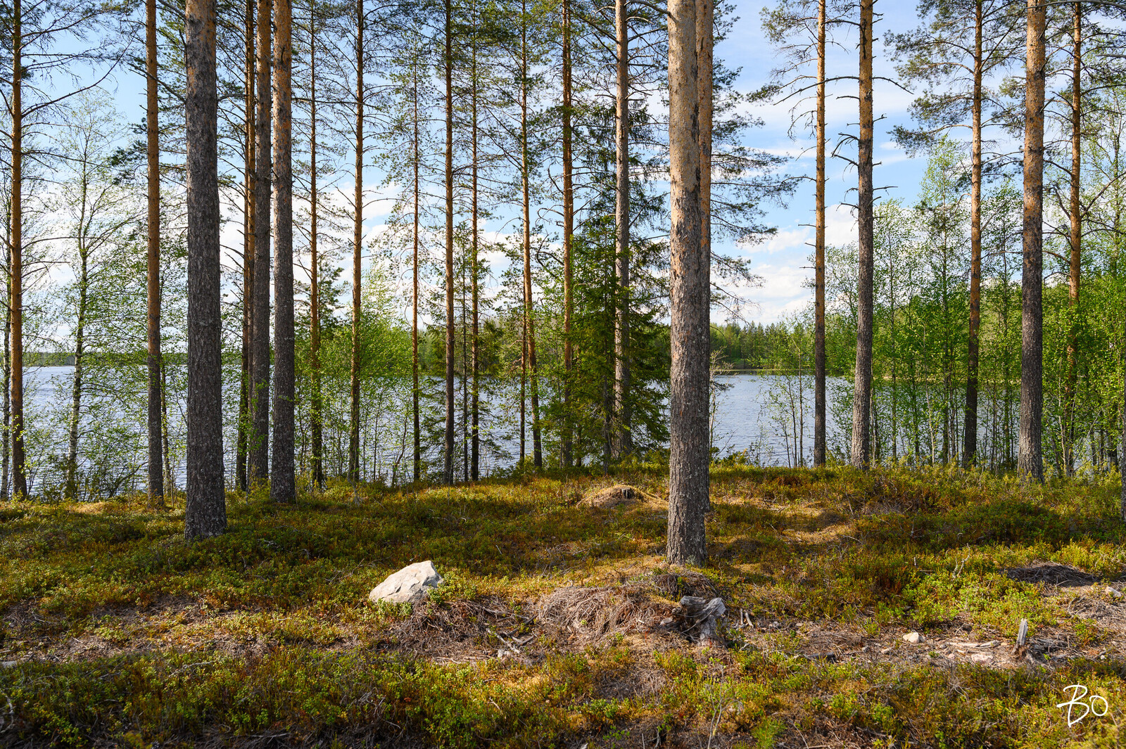 Petäjälahdentie 13 - kuva 6