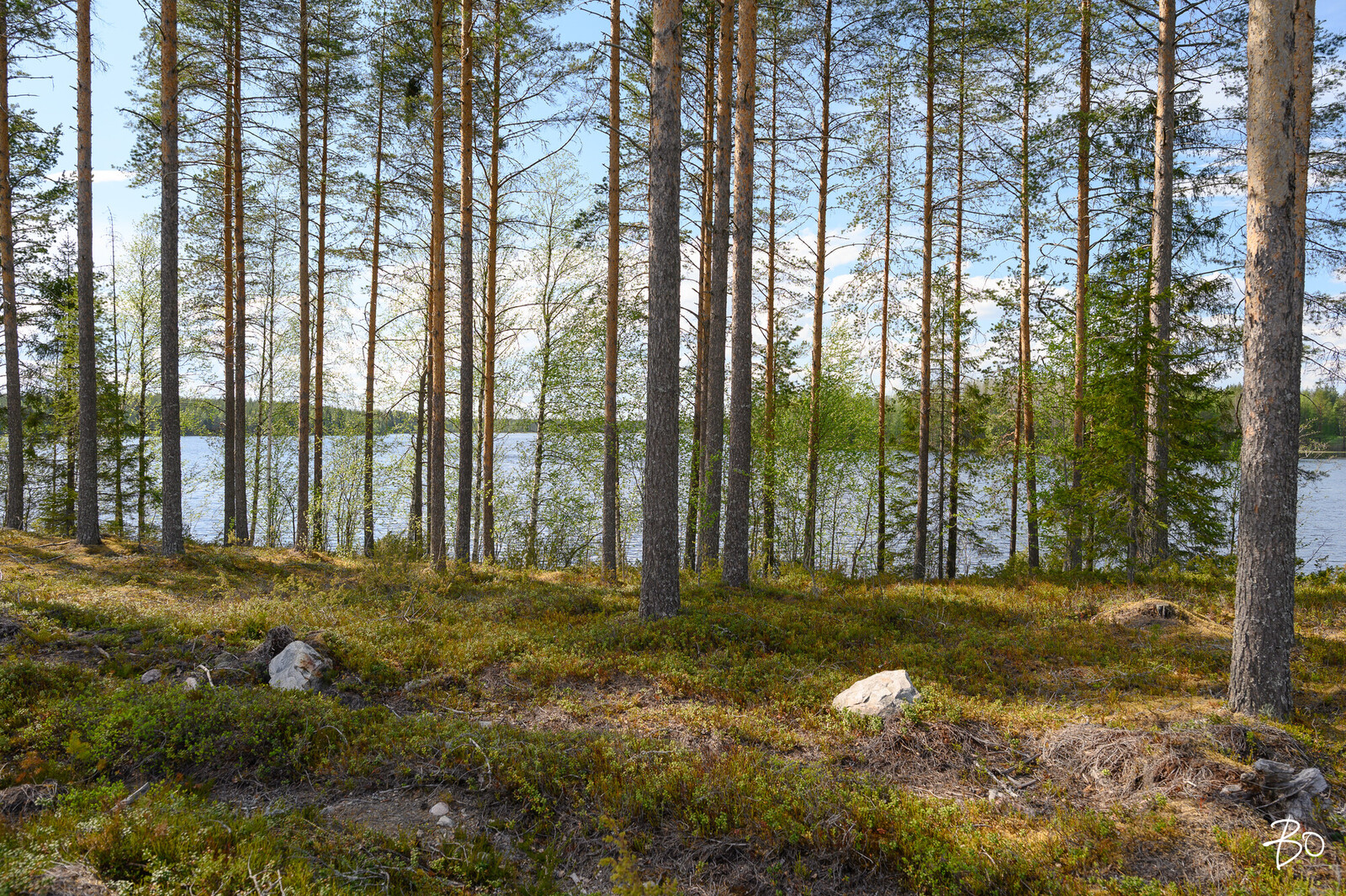 Petäjälahdentie 13 - kuva 7