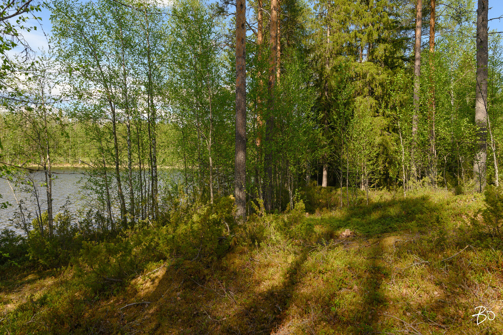 Petäjälahdentie 13 - kuva 9
