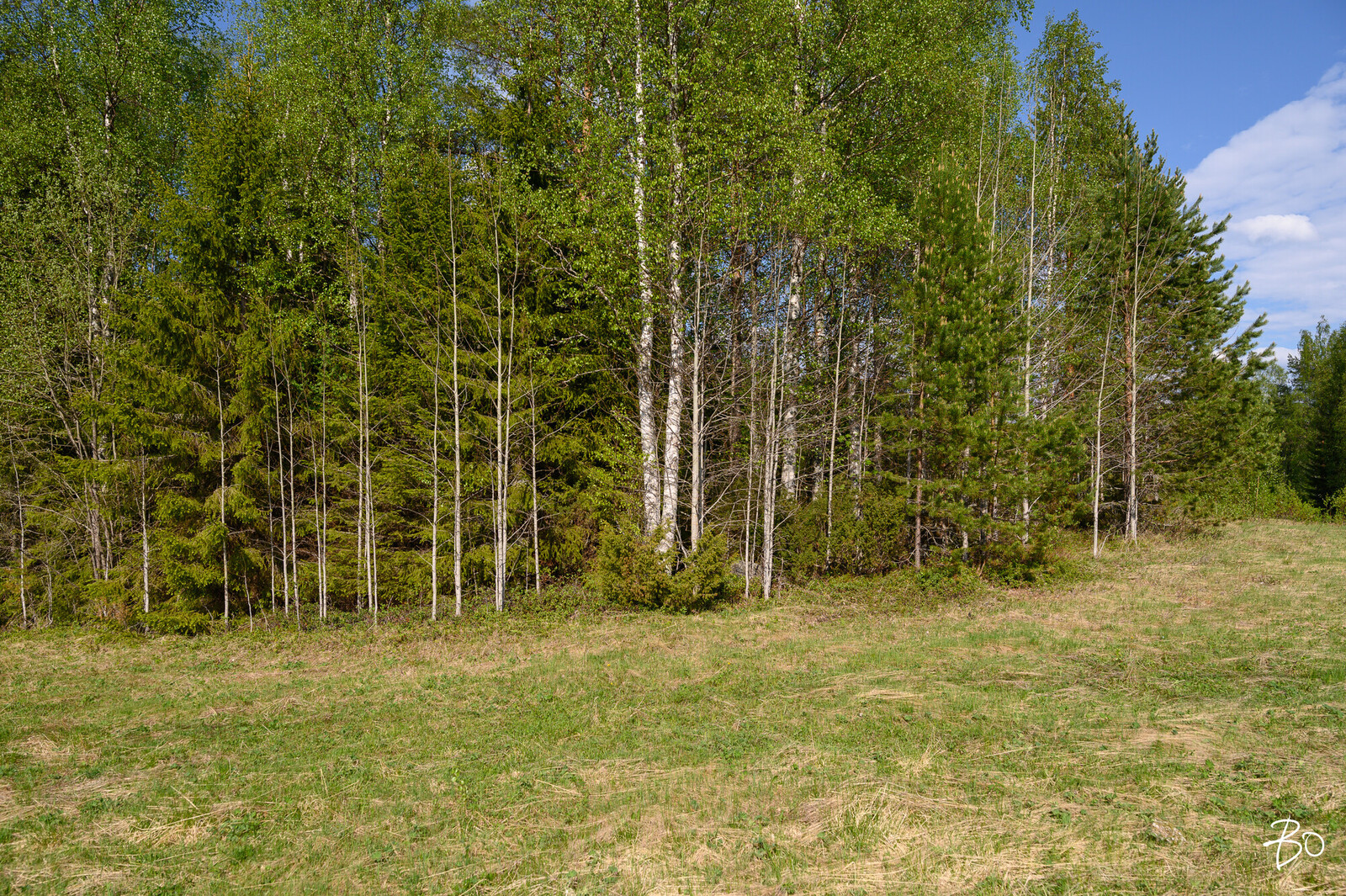 Petäjälahdentie 14 - kuva 4