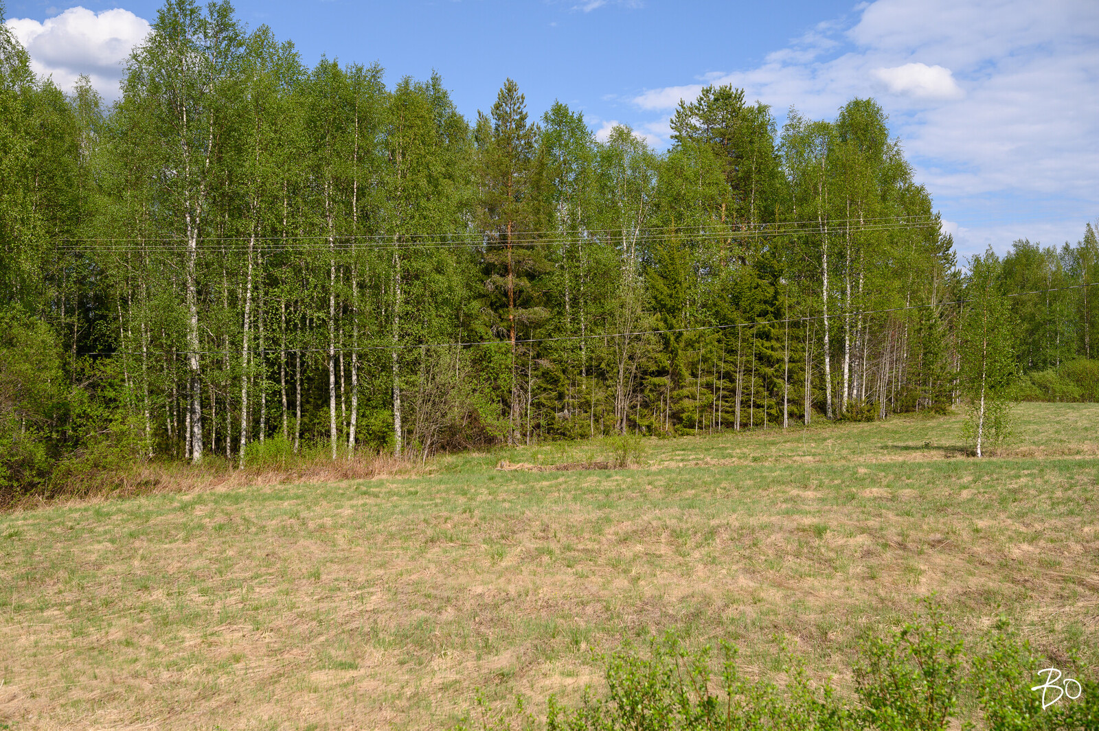 Petäjälahdentie 14 - kuva 3