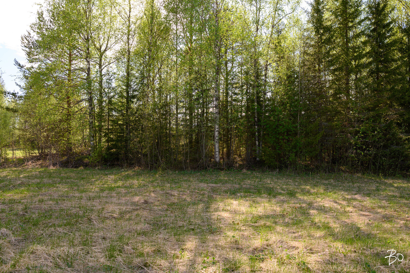 Petäjälahdentie 14 - kuva 6