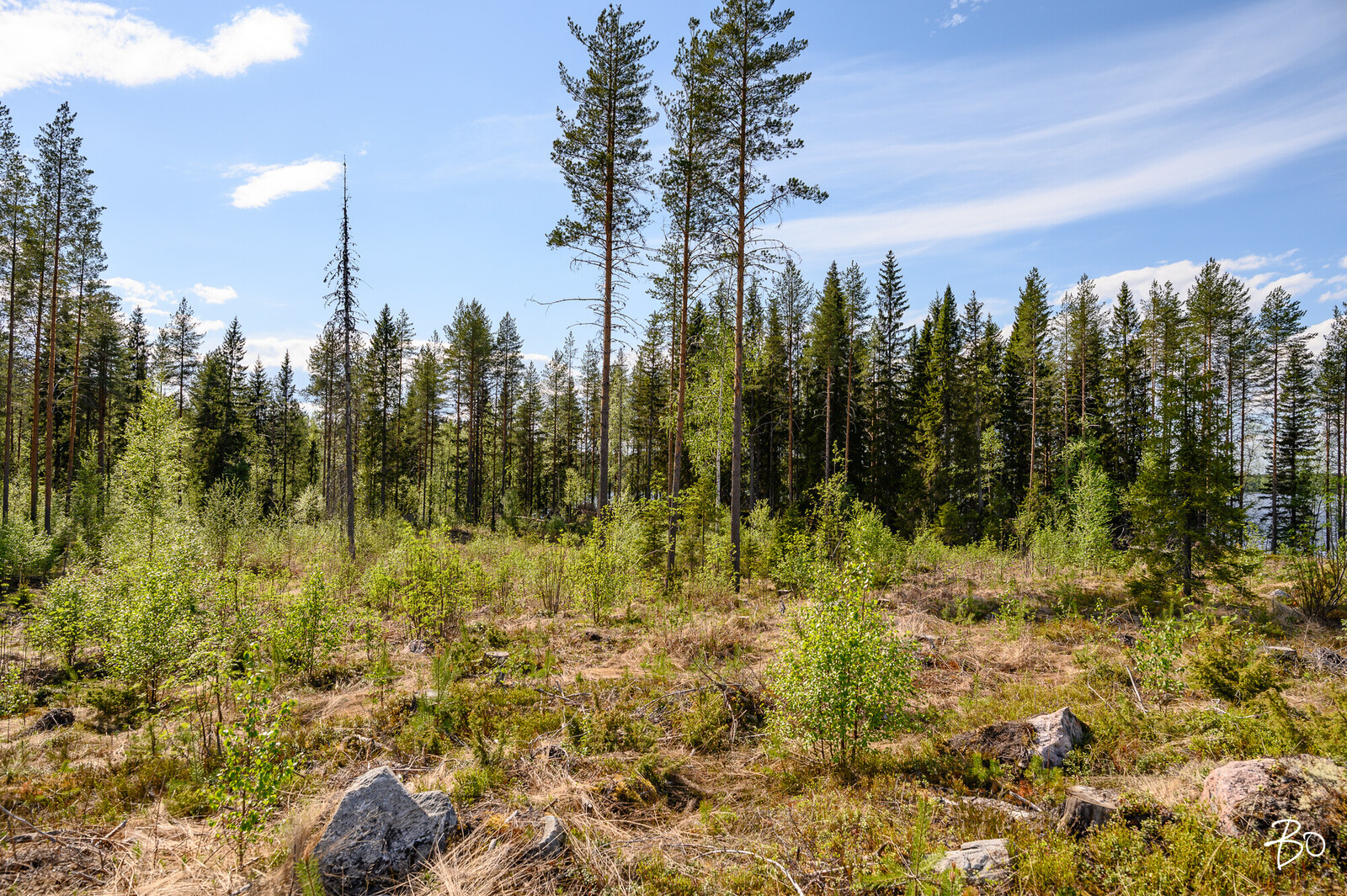 Petäjälahdentie 15 - kuva 2