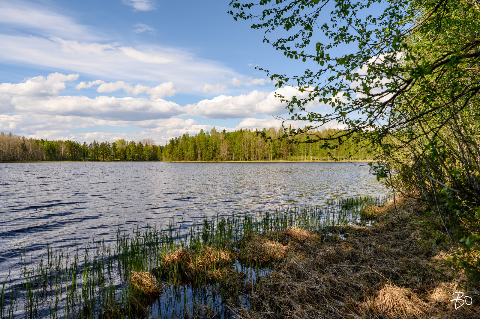 Petäjälahdentie 15 - kuva 7