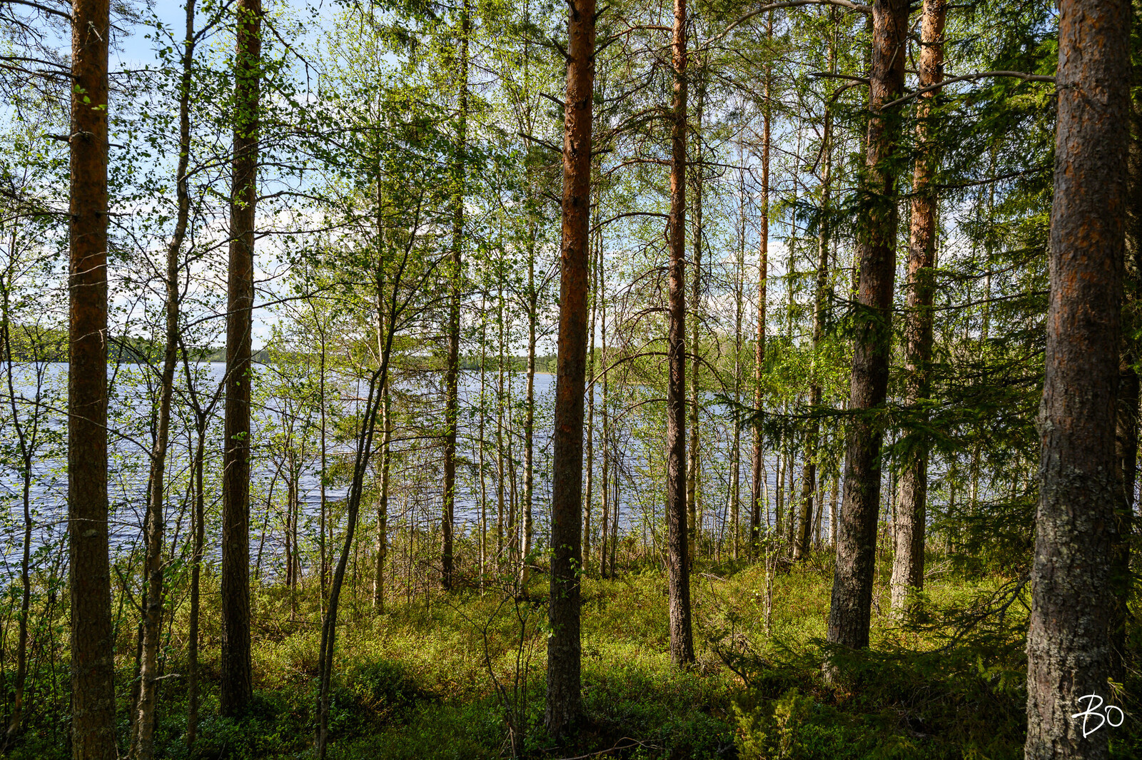 Petäjälahdentie 15 - kuva 10