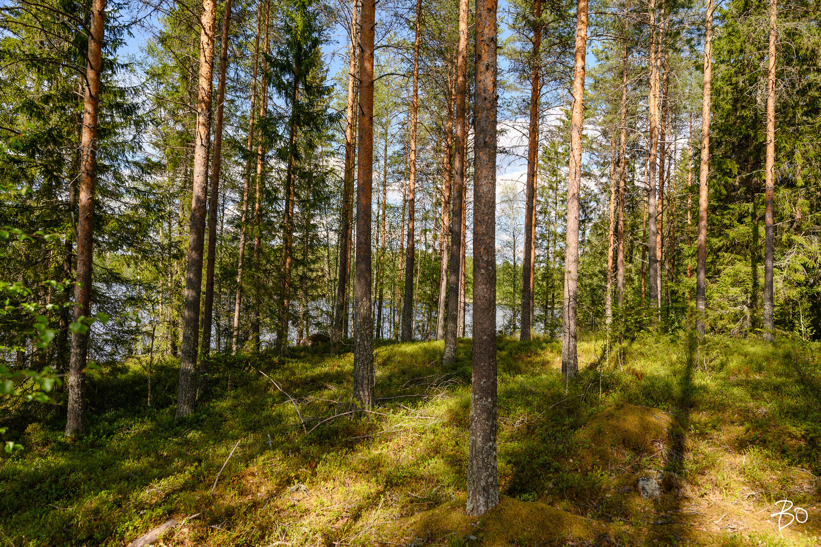 Petäjälahdentie 15 - kuva 11