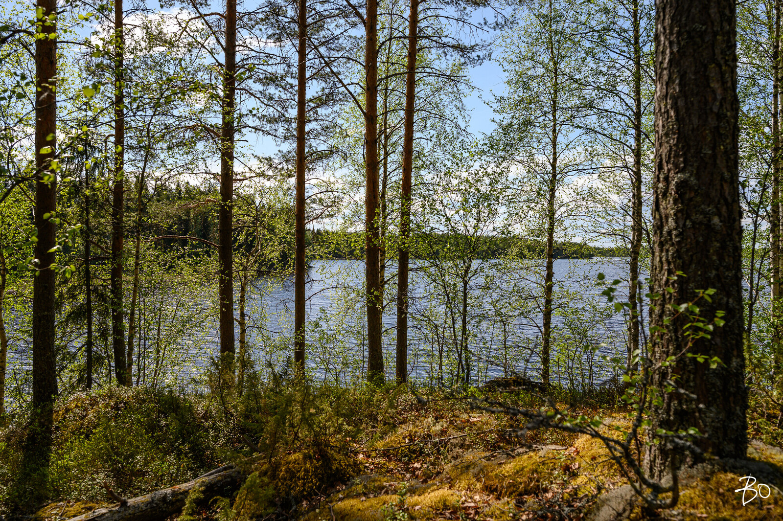 Petäjälahdentie 15 - kuva 12
