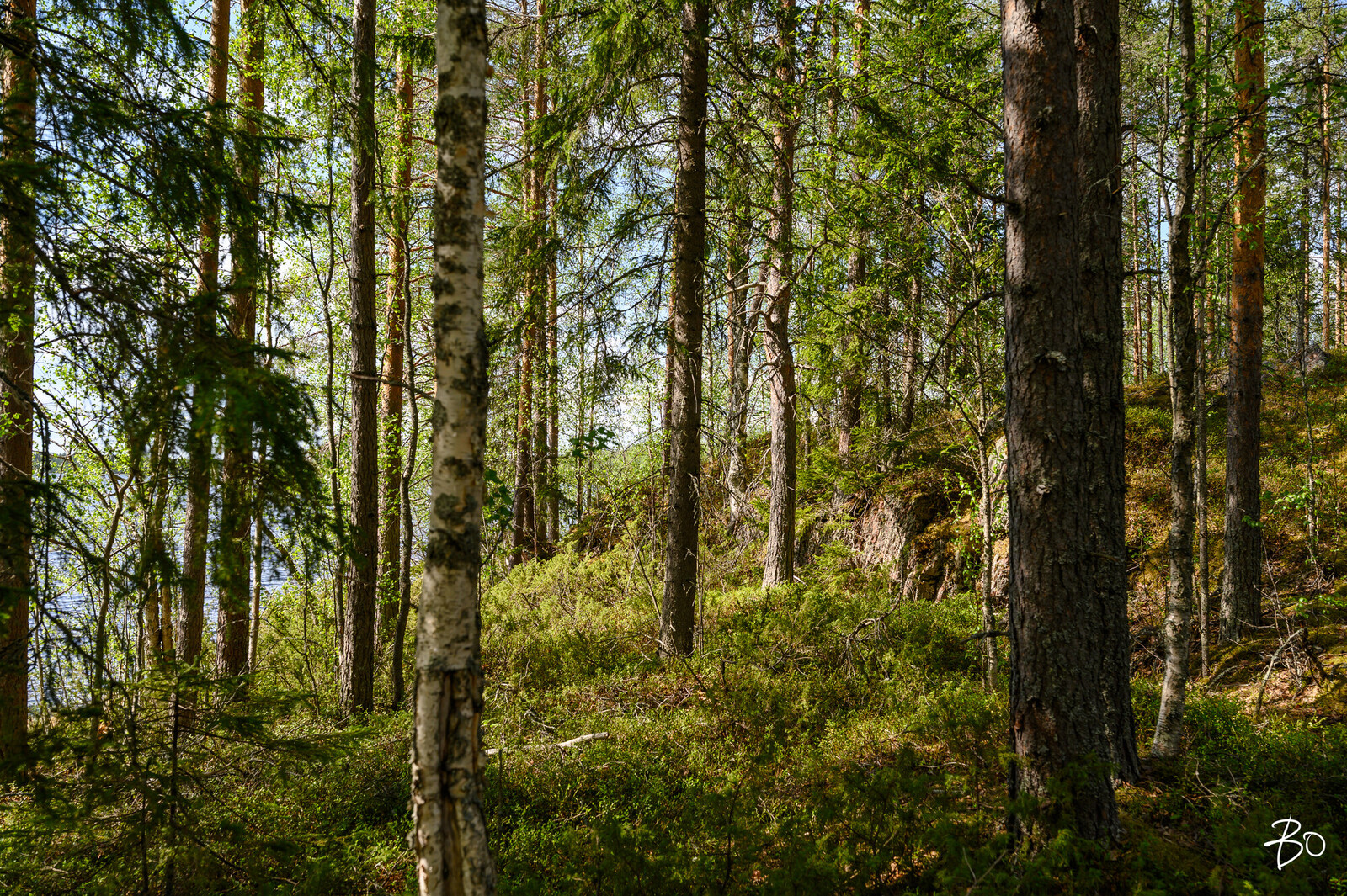 Petäjälahdentie 15 - kuva 14
