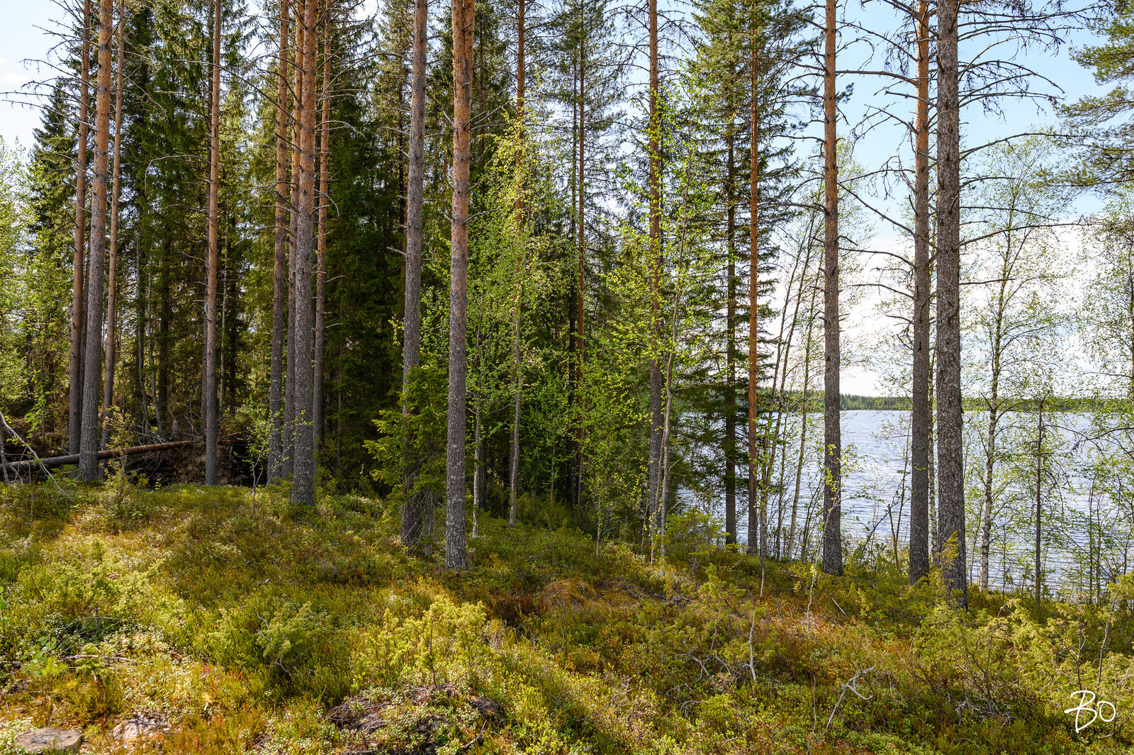 Petäjälahdentie 15 - kuva 16