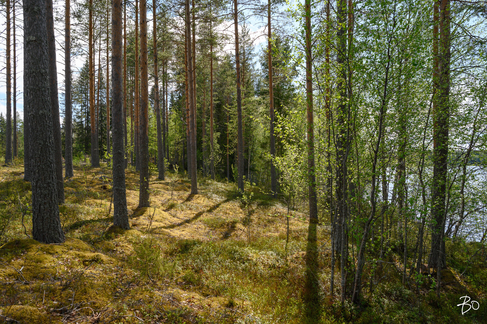 Petäjälahdentie 15 - kuva 17