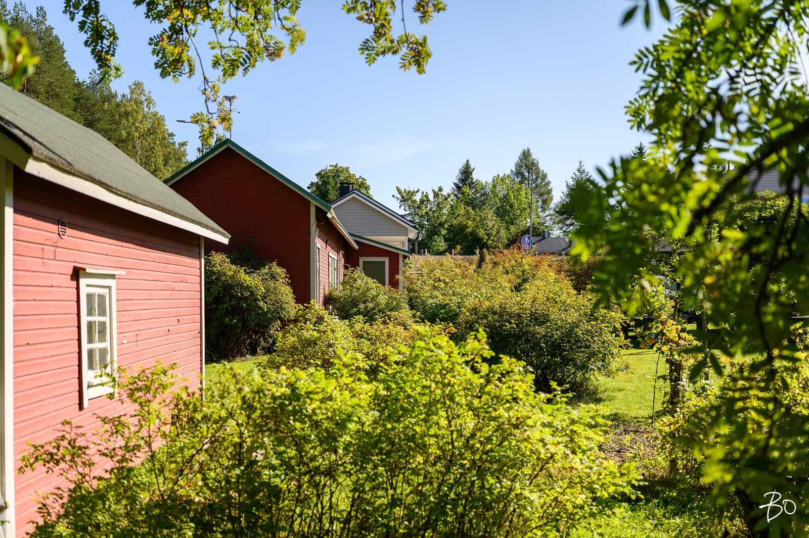 Mastotie 30 - bild 10