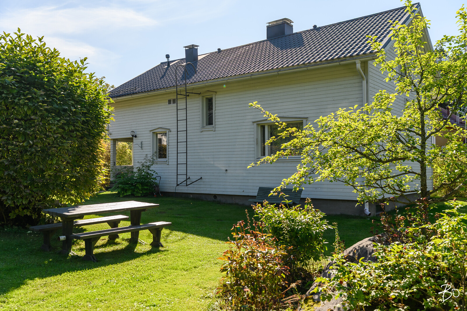 Mastotie 30 - bild 3