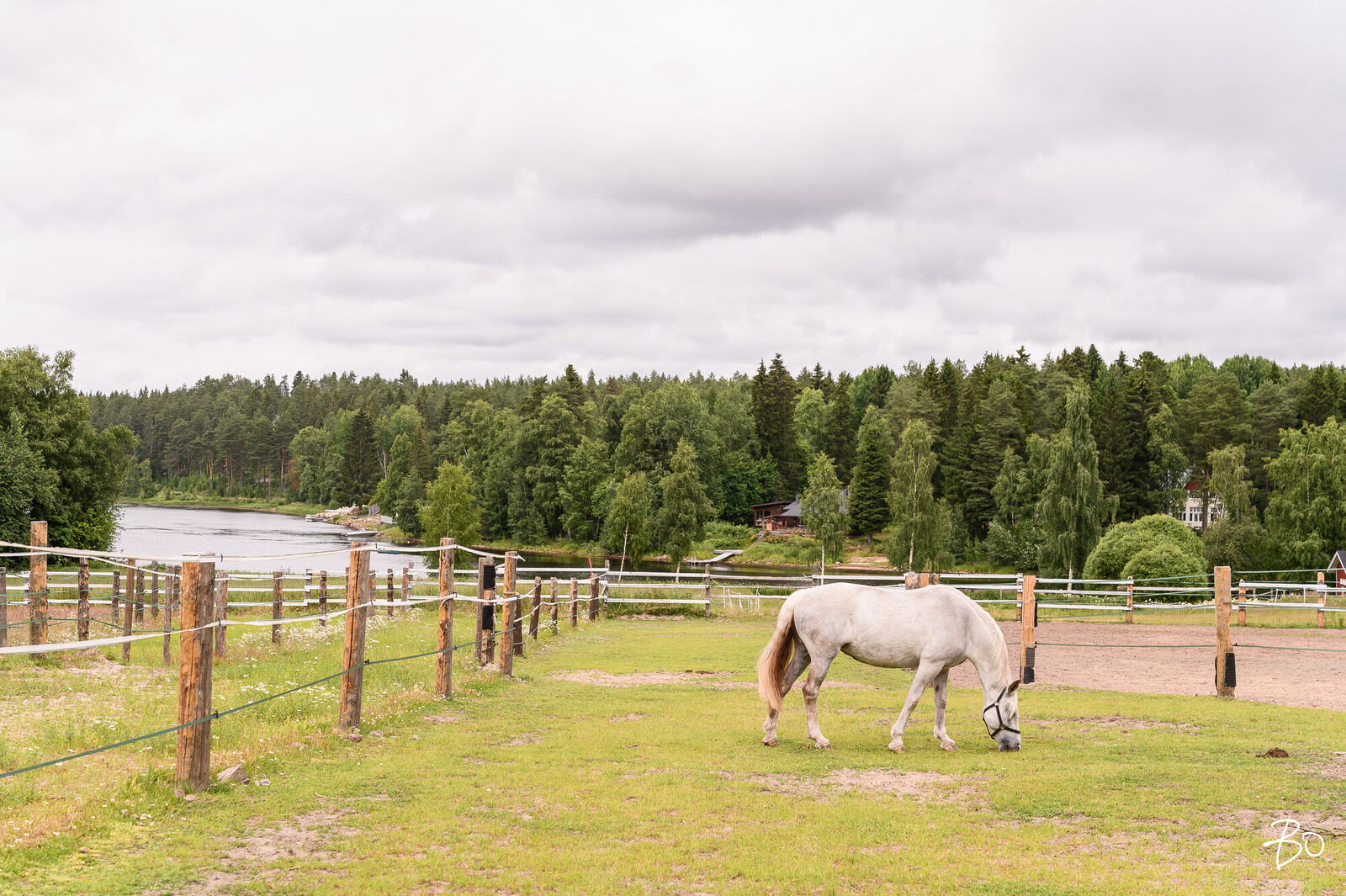 Marttilantie 29 - image 9