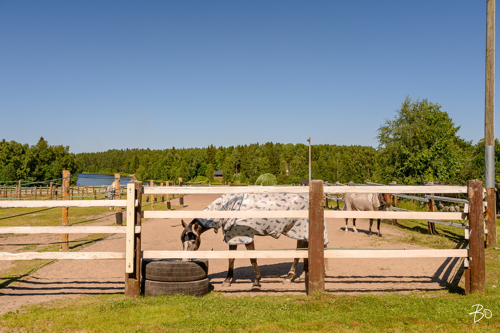 Marttilantie 29 - image 7