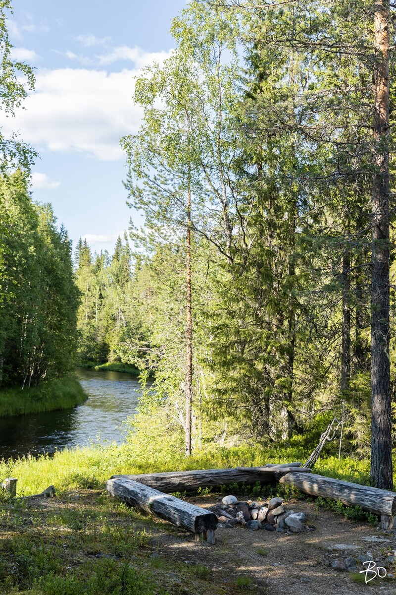 Syötesuvannontie 137 - kuva 51