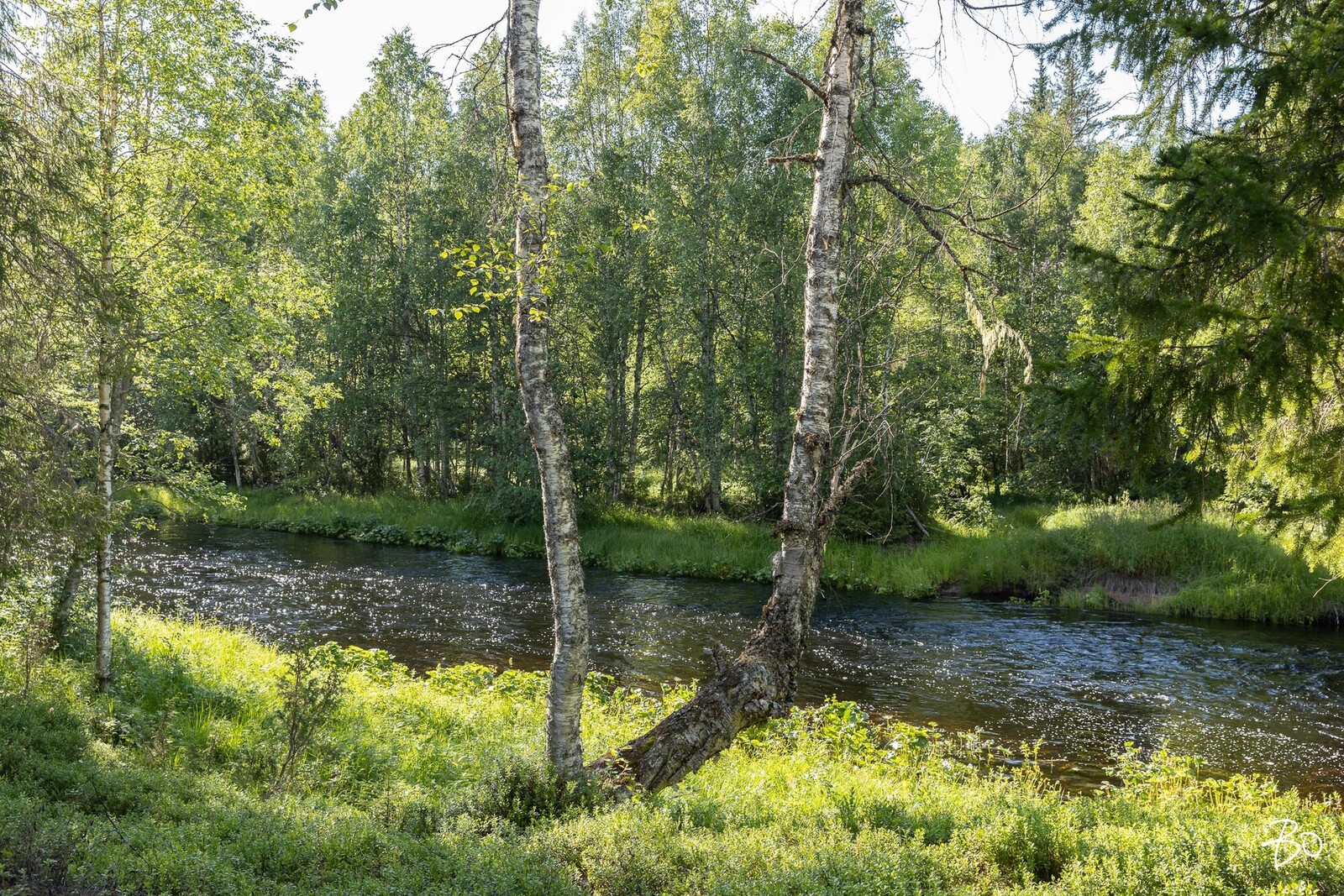Syötesuvannontie 137 - kuva 52