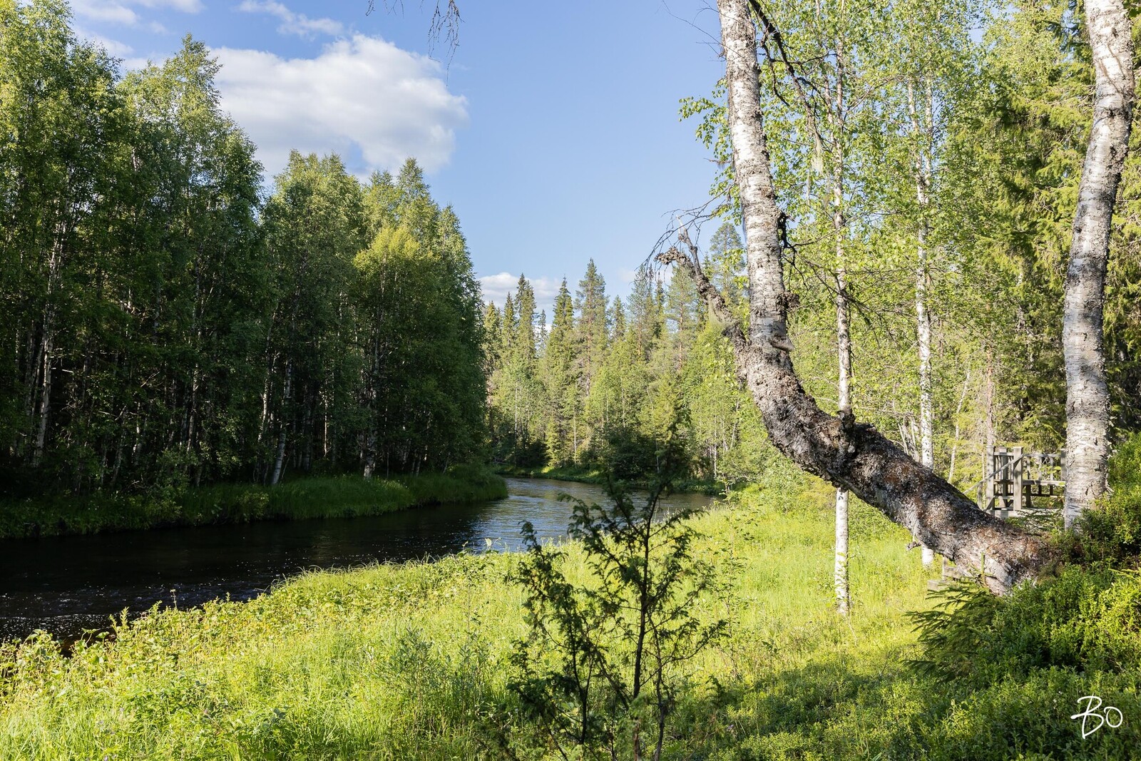 Syötesuvannontie 137 - kuva 54