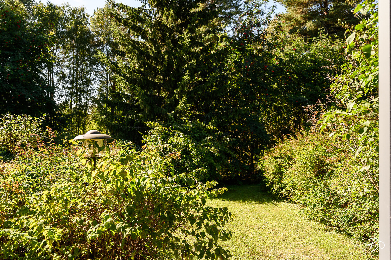 Ketjutie 1 - image 24