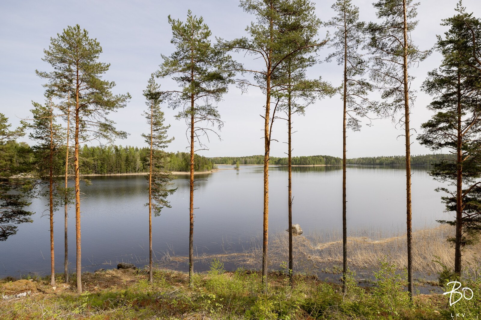 Mäkirekolantie 52 - kuva 39