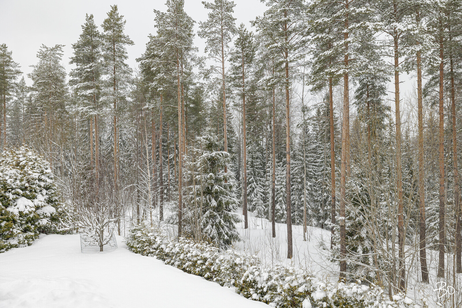 Aurinkorinteenkatu 30 - image 43