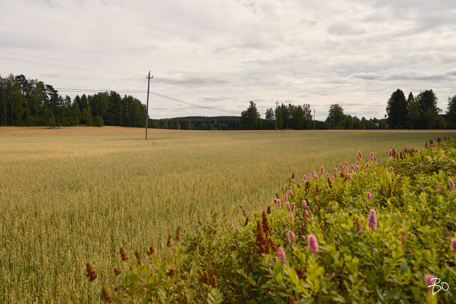 Koulukuja 20 - bild 68