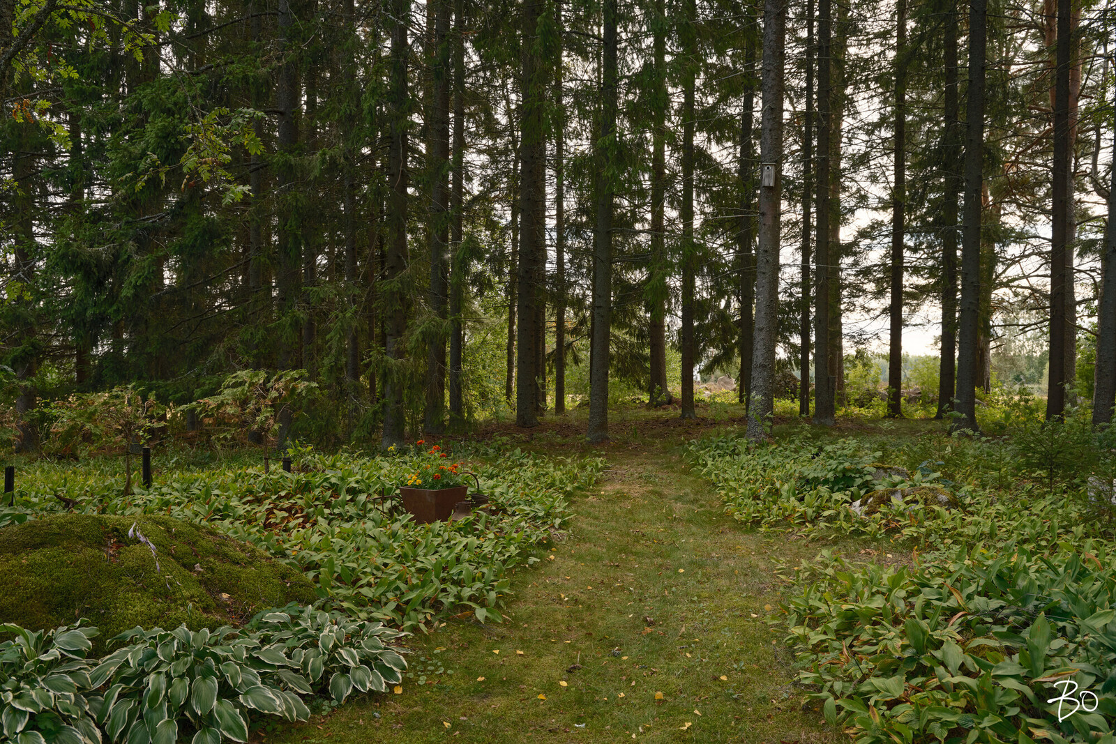 Koulukuja 20 - bild 64