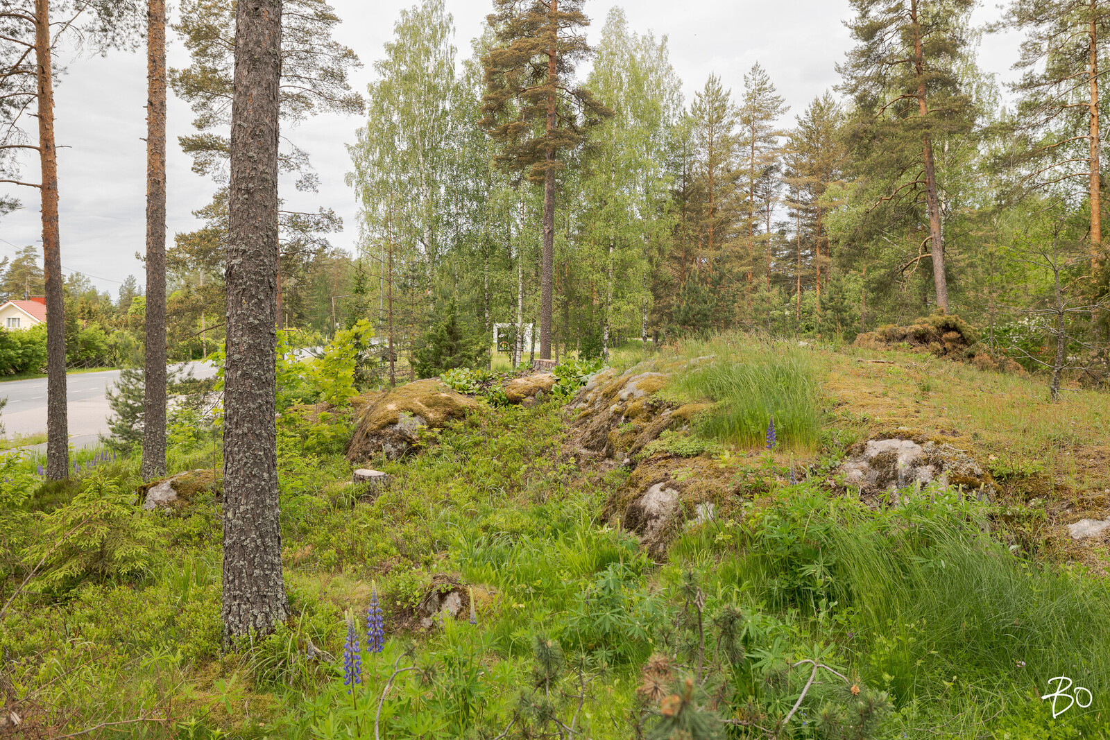 Valkovuokonkuja 12 - kuva 28