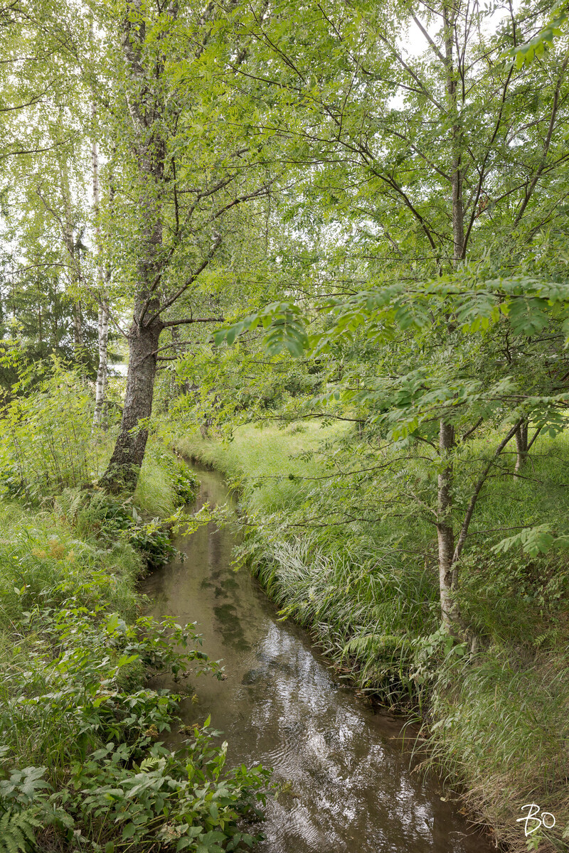 Tuomalantie 19C - kuva 23